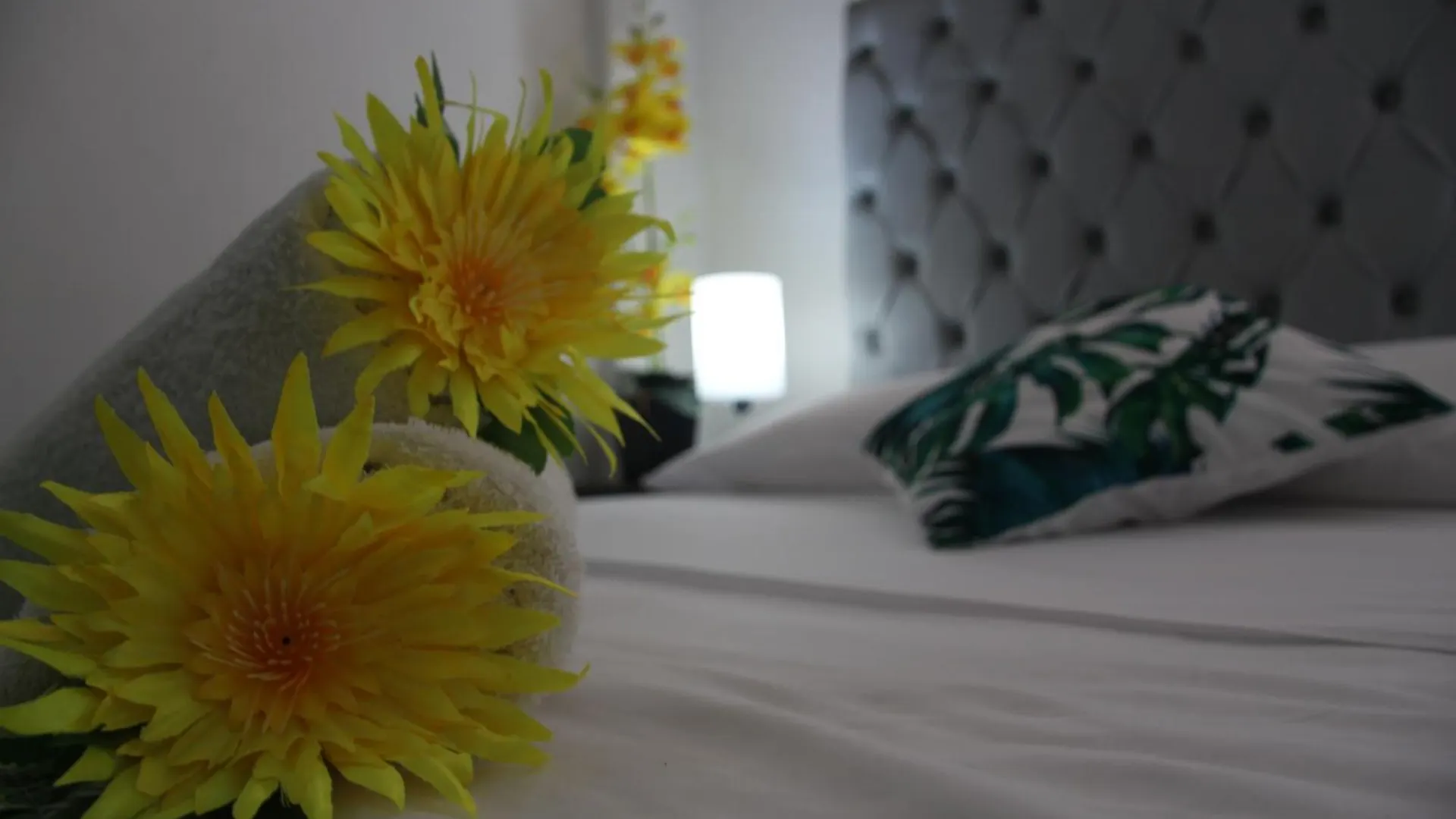Hotel Rodadero Dorado Santa Marta  Colômbia